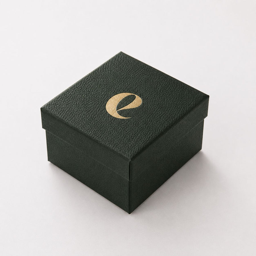 EPOCH Special Case presentation box — architectural view